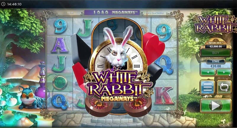 White Rabbit（ホワイト・ラビット）